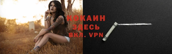 СК Михайловск