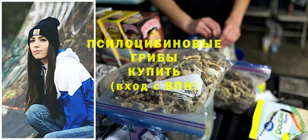СК Михайловск