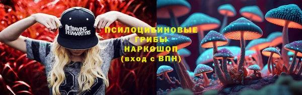 СК Михайловск
