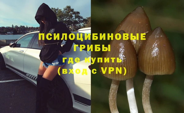 a pvp Михайлов