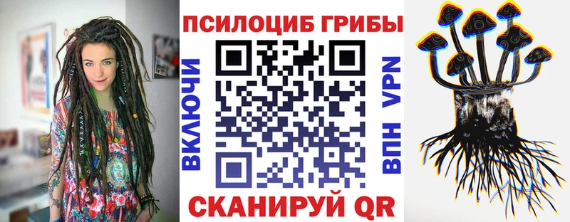 кракен рабочий сайт  Дятьково  Галлюциногенные грибы Cubensis  магазин   