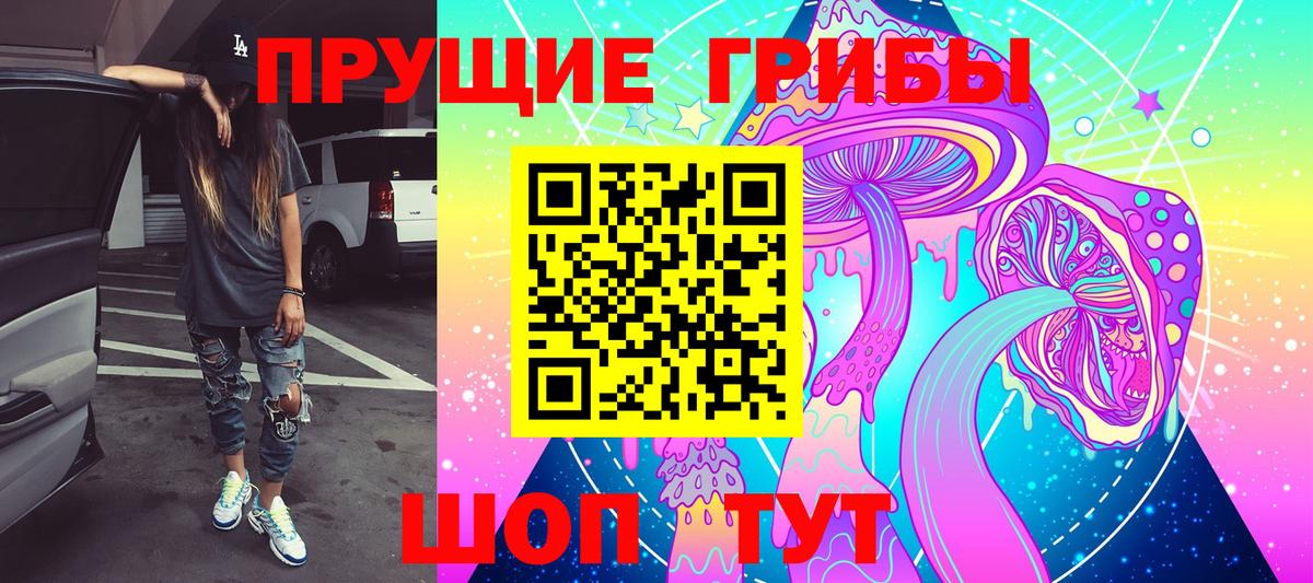 дарнет шоп  Галлюциногенные грибы MAGIC MUSHROOMS  Вход с VPN  Псилоцибиновые грибы Psilocybe  Дятьково 
