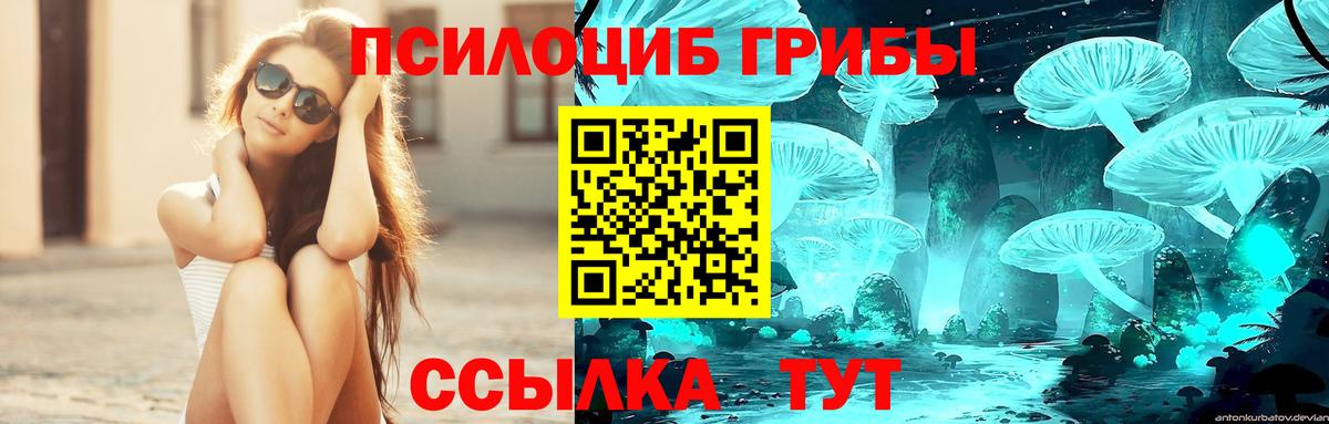 Галлюциногенные грибы мухоморы Дятьково