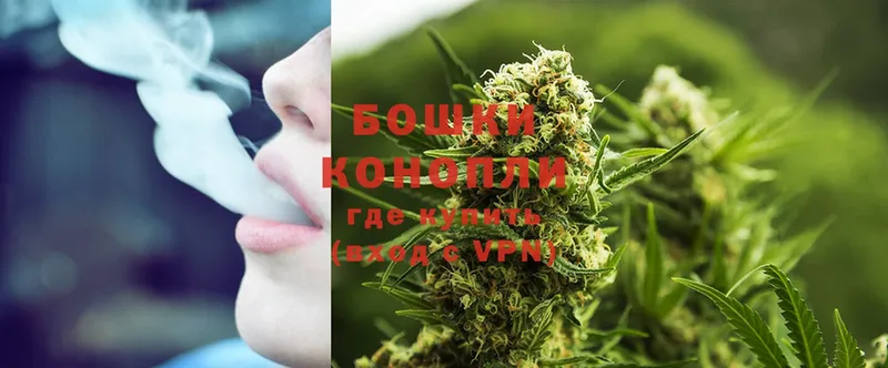 Канабис OG Kush  где купить наркоту  Дятьково 